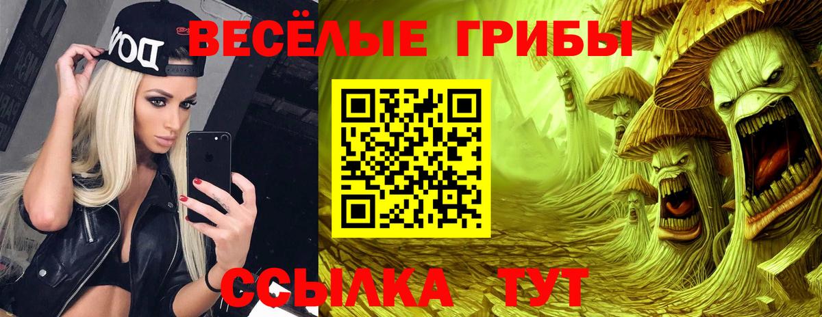 Псилоцибиновые грибы MAGIC MUSHROOMS Богородицк