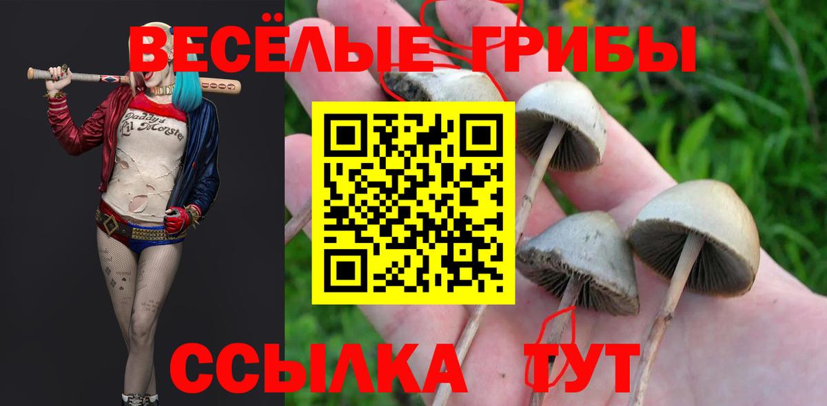 Богородицк  Галлюциногенные грибы прущие грибы  Псилоцибиновые грибы MAGIC MUSHROOMS  Вход с VPN 